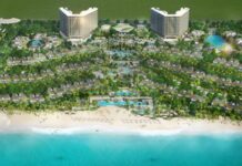 CEO QUỸ ĐẦU TƯ NIELSEN INNOVATE: “ALMA LÀ SỰ ĐẦU TƯ THÔNG MINH CỦA IGAL AHOUVI”