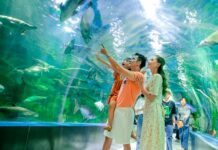 HỘI THẢO CỦA ALMA LIÊN TỤC TẶNG QUÀ KHÁCH THAM DỰ MỖI NGÀY