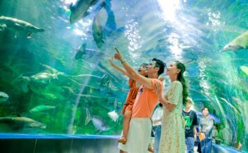 HỘI THẢO CỦA ALMA LIÊN TỤC TẶNG QUÀ KHÁCH THAM DỰ MỖI NGÀY