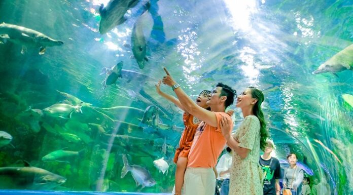 HỘI THẢO CỦA ALMA LIÊN TỤC TẶNG QUÀ KHÁCH THAM DỰ MỖI NGÀY